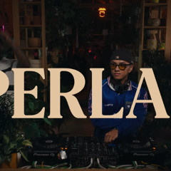 R&B Grooves & Afrobeats at a Brooklyn Plant Shop - Plant Bass