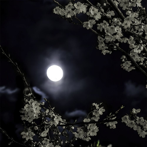 4am