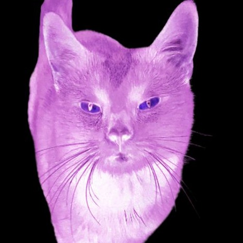 JensyCore.Wav
