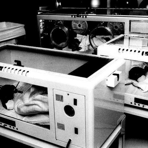 ΔNIMΔ MΔCHINΔ ■ Incubadora II (NICU)