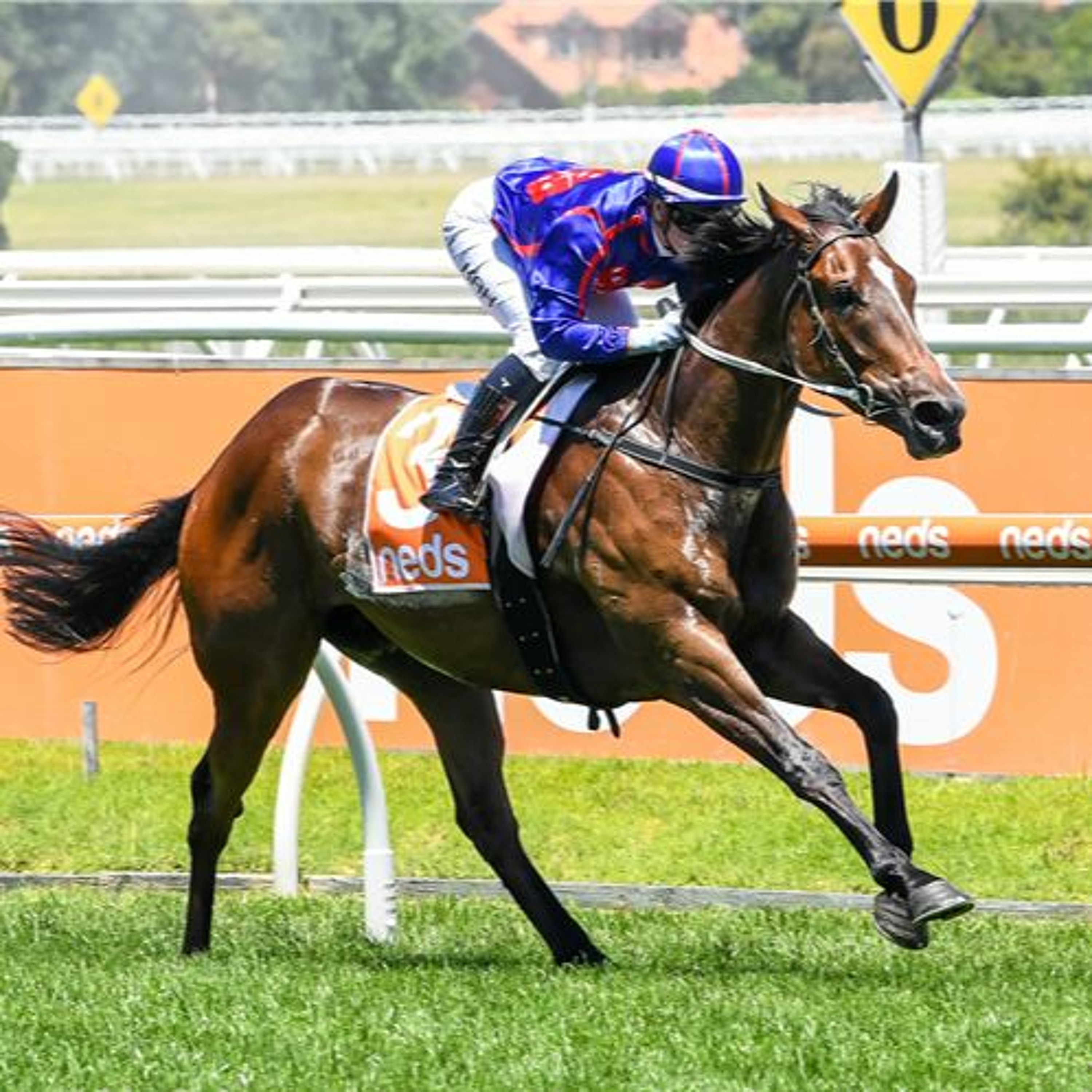 Caulfield Punting Preview 8th May