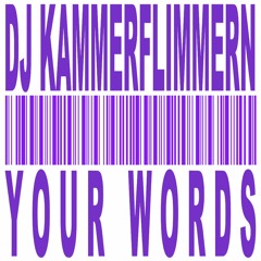 DJ KAMMERFLIMMERN - YOUR WORDS