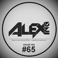 Alex Inc - House Mix #65 [2024]