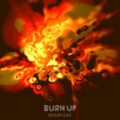 Burn Up