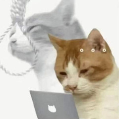 1k + gang 💪❤️‍🩹