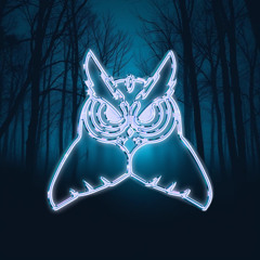 UNVEILED OWLS 06 - GUNJA (FMG GUEST-MIX)