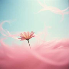 모든 계절에 피는 꽃처럼 (Blooms In Every Season)