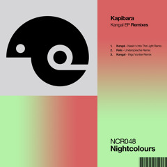 Premiere: Kapibara - Kangal (Naeiiv's Into The Light Remix) [Nightcolours]