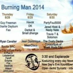 Burning Man - Kostume Kult - 2014