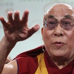 Bobtail - Live @ De Doos - Arnhem - Tibet