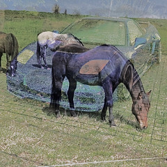 hoockedonthe1one