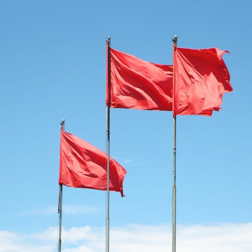 Stream Ignoring Red Flags Because You See the Good (REBROADCAST) by