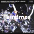 Sander Van Doorn X Selva X Macon - Raindrops(Kenting Remix)