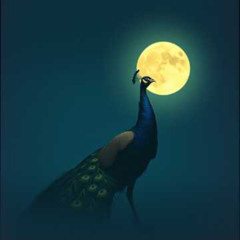 Full moon