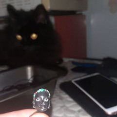 Выключи пожалуйста.STOP!please 25-08-2024 10-24.wav