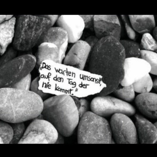 Stream Das Leben Nicht So Ernst Nehmen..! Um Die Welt Mit Herz zu