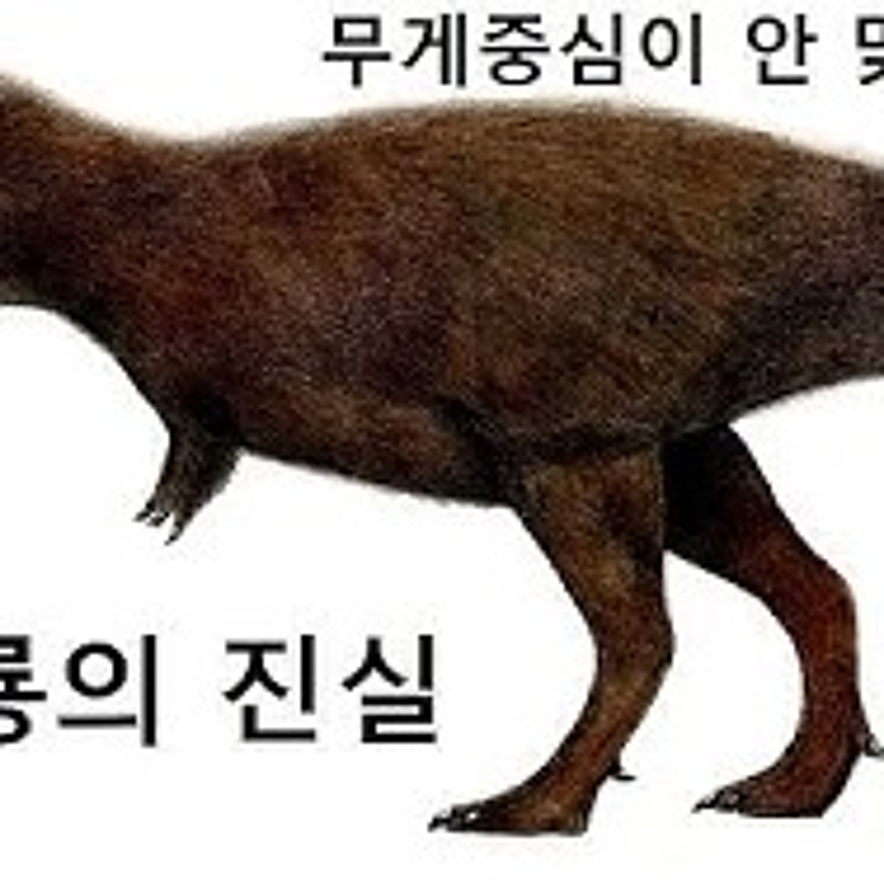 2023-03-16 공룡의 진실 무게중심이 안 맞다 episode artwork