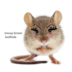mousy brown butthole