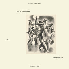 summer school radio (106)