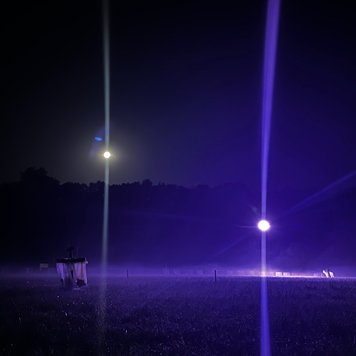 Samuel Quantin - Fact