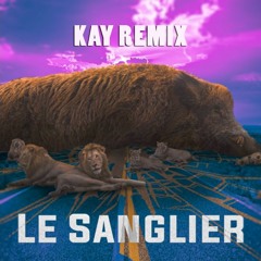 DaPoule - Le Sanglier (Kay Remix)