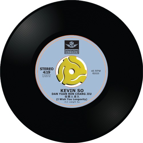 Dan Yuan Ren Chang Jiu 但愿人长久 (Instrumental)