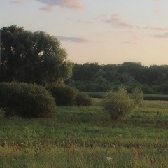 willow era (2019-2024)