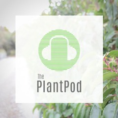 Episode 24: The Critical Role of Extension Officers in Enhancing Biosecurity in Production Nurseries