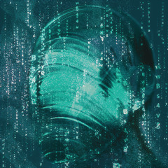 OHREC001: pricklypearsound x no debris