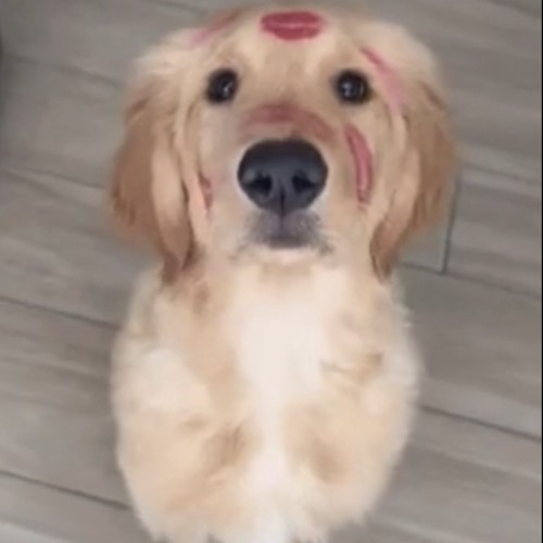 I won’t lie I hate this