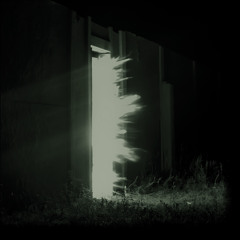 Fall Into The Light