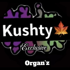 kushty exclusive track 3🍁