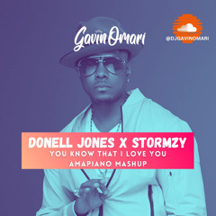 Donell Jones x Stromzy- You know that i love You Dj gavinomari Amapiano Mashup.mp3