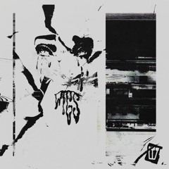 What Should I Do Next