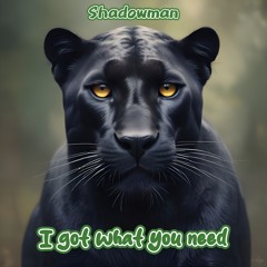 I Got What You Need