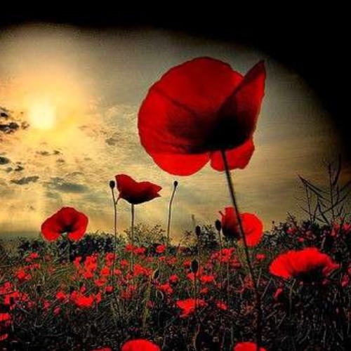 Day of Remembrance (without cello) - by Larry Nickel