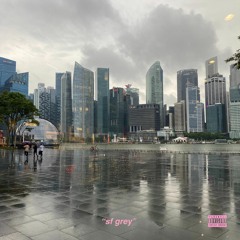 sf grey (prod. Stoic Beats)