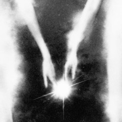 forget - mano, Lawnt, Wanel