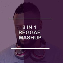 3 in One Reggae Mashup