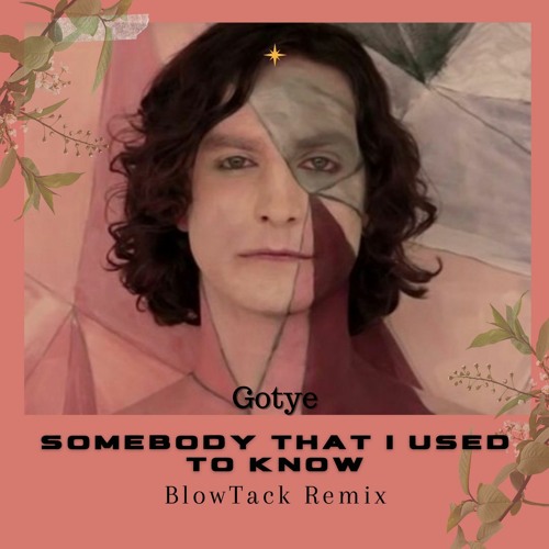 Gotye - Somebody That I Used To Know (BlowTack Remix)