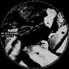 [BP-029] EUPHØRIC - Guest 09 / Beryllium Podcast 29