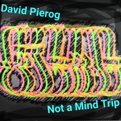 David Pierog Not a Mind Trip 012923
