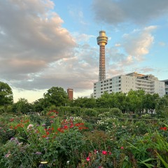 Eucalyptus (Nostalgic)