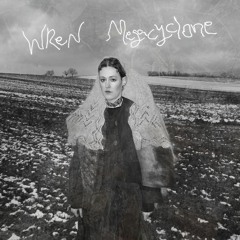 wren - megacyclone