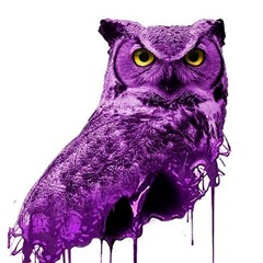 B.U.H.O (ALLEN KS REMIX)