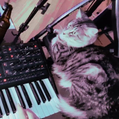 Stranger Arp (supersynth mix)