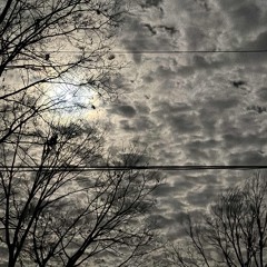 tiquealaddin(p.80pains X 1nders)