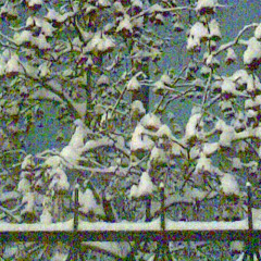 Dancing in the Ruins