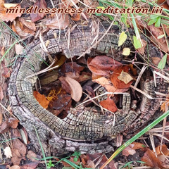 Mindlessness Meditation 3