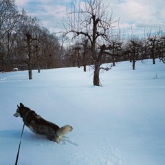 Please Don't Clean the Streets